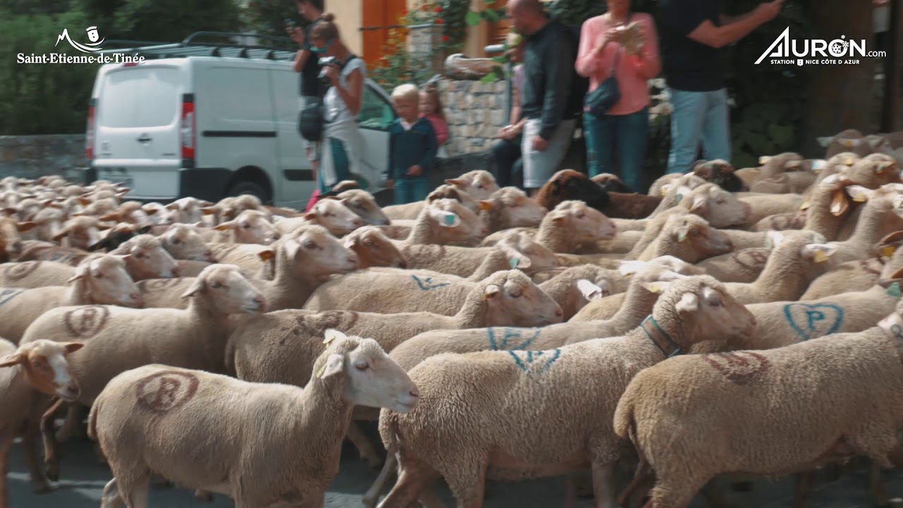 Fête de la Transhumance, Saint Etienne de Tinée - Edition 2018