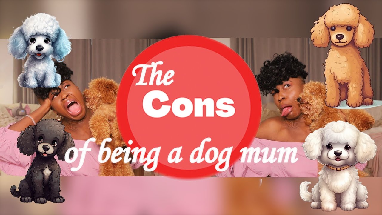 THE CONS OF BEING A DOG MUM