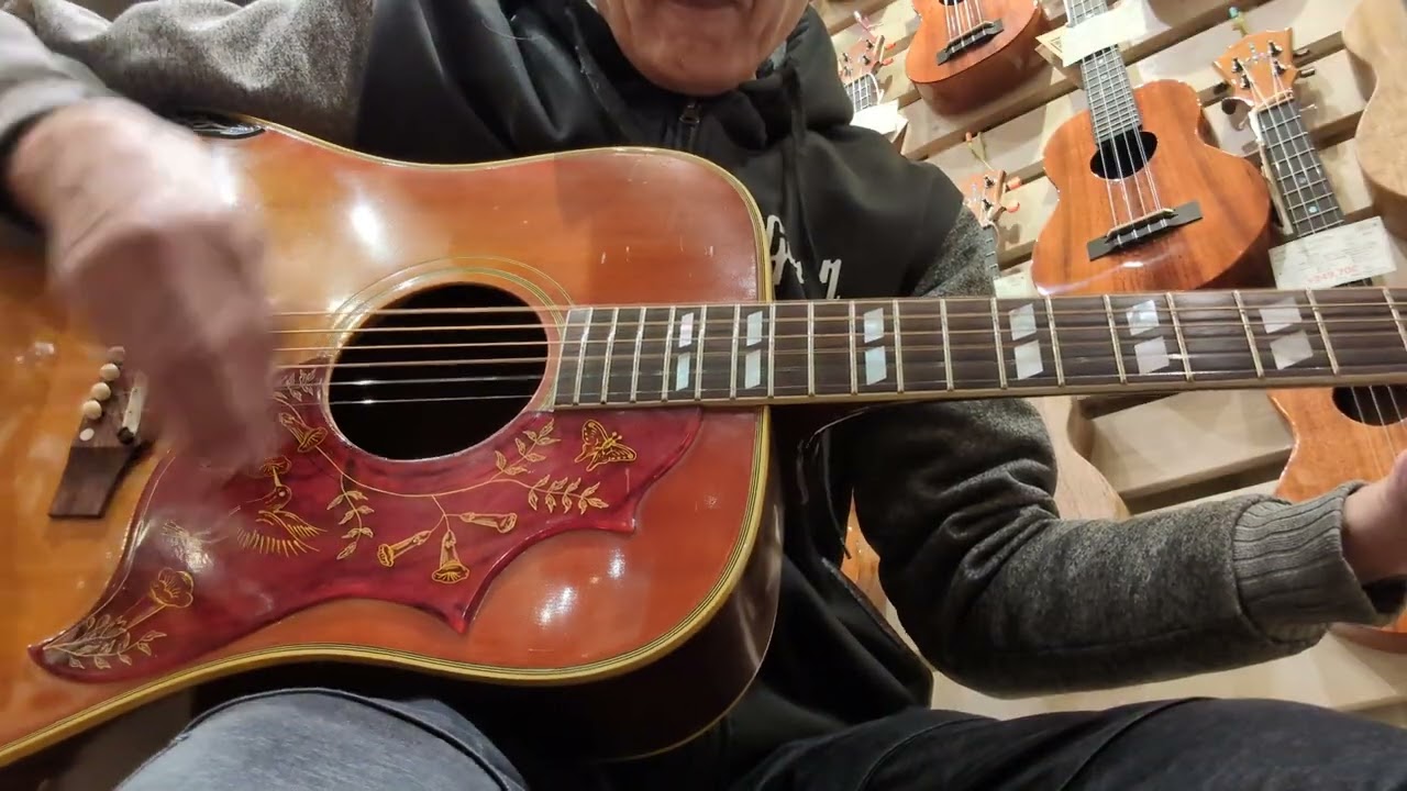 アコギLOVE❤ギブソン ハミングバード 1965