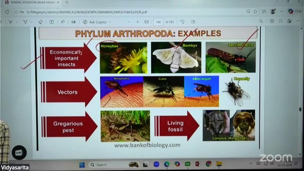 Animal Kingdom L-05 | 12-03-26| AMAR SHINDE SIR | Biology 11th B4 NEET VSA