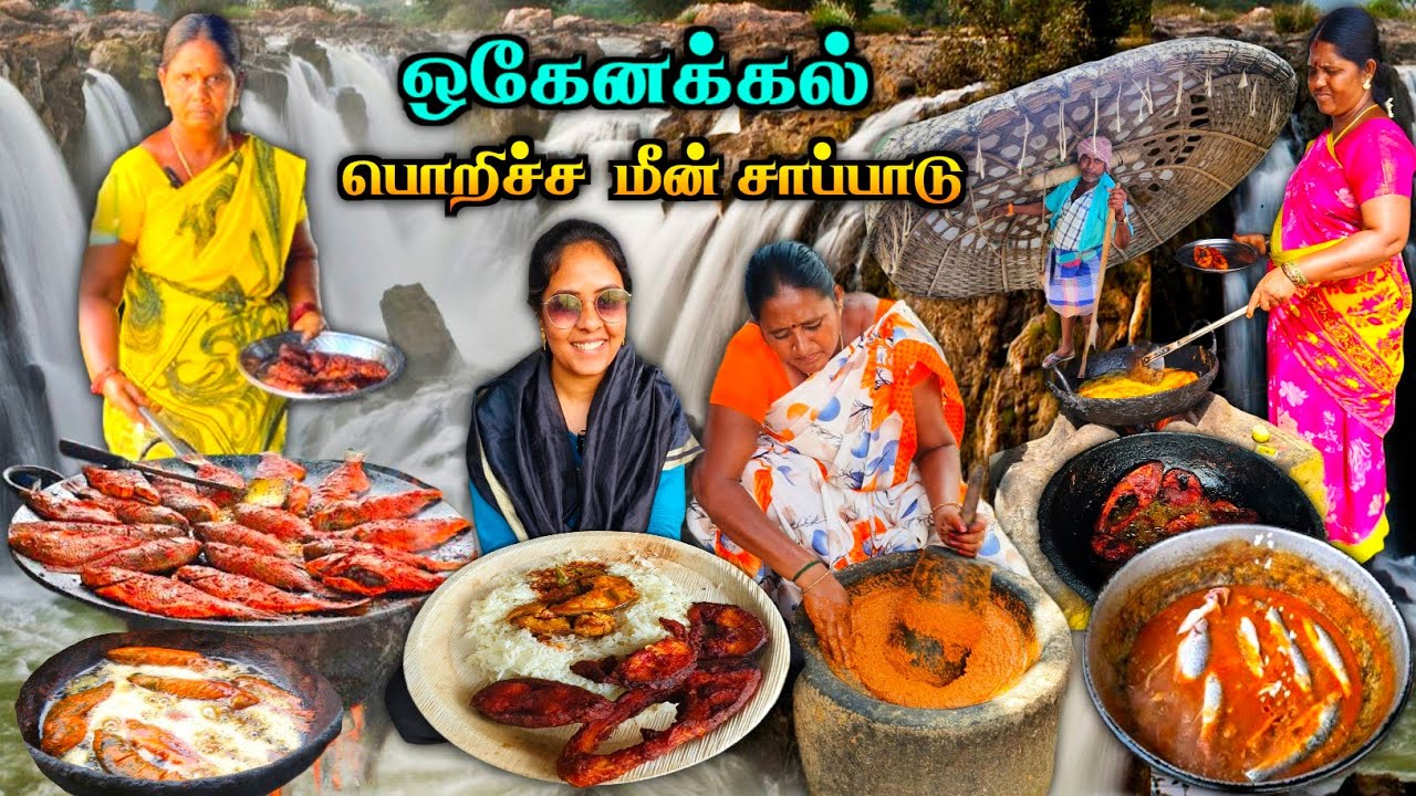 💥💯Hogenakkal famous பொறிச்ச மீன் சாப்பாடு & பரிசல் சவாரி😍🔥| Media பட்டதாரி #hogenakkal #fishfry 