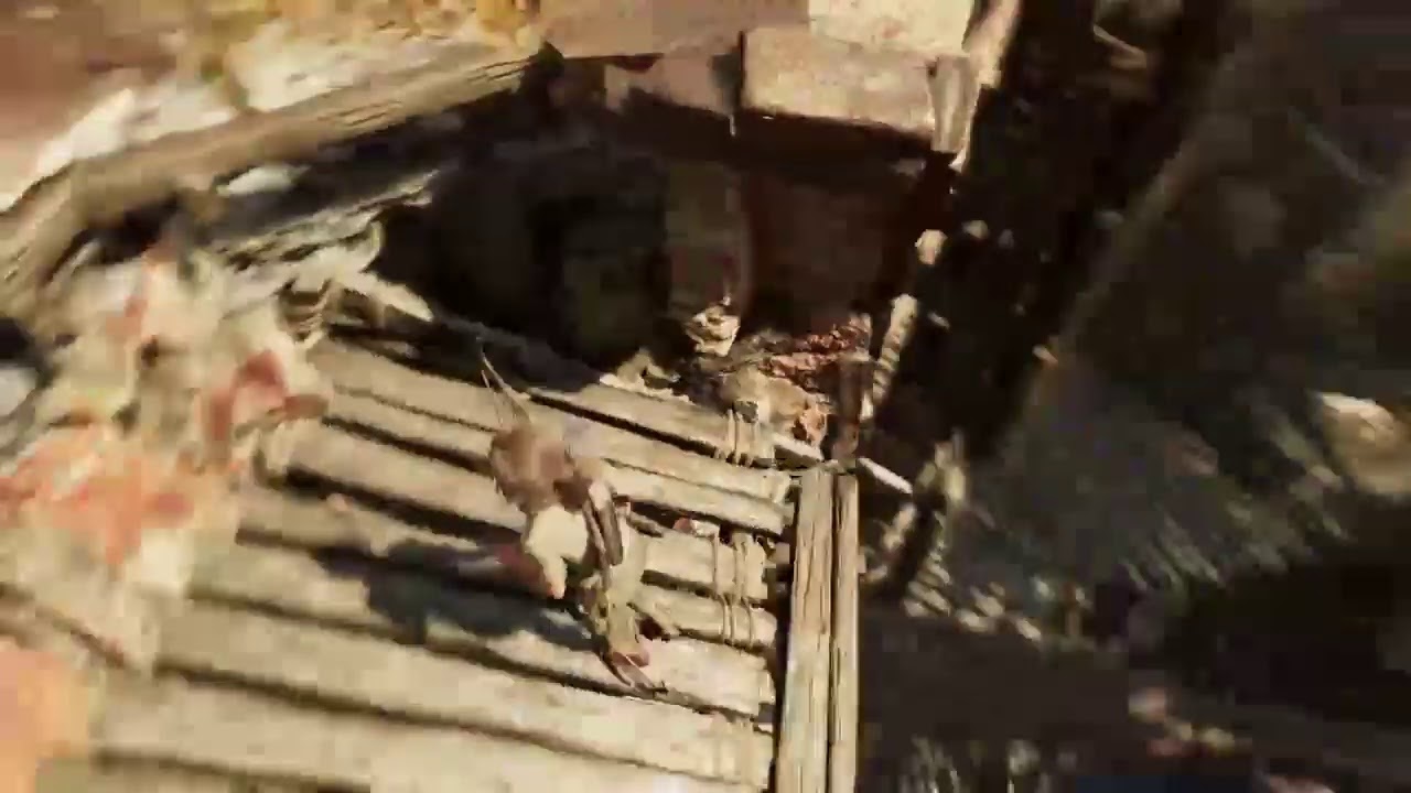 Klidov&iacute; stream z shadow of the tomb raider#5