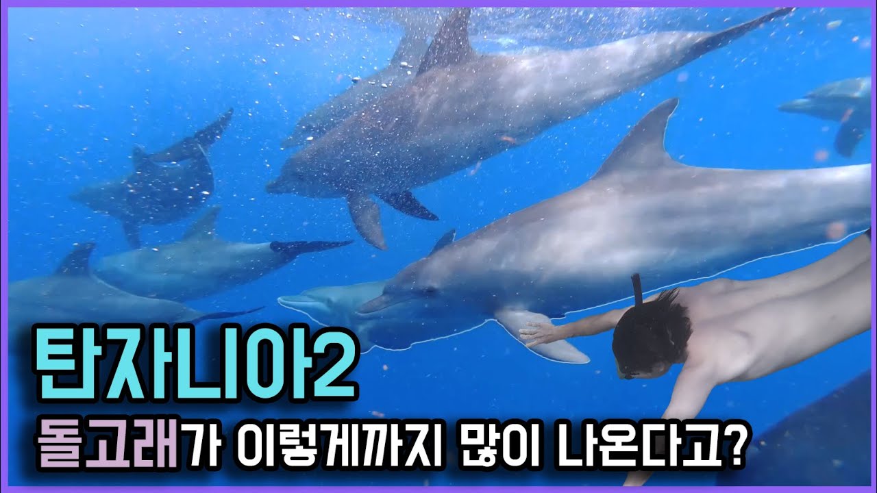 여긴 꼭 와야 합니다 예쁘다는 말 밖에 안 나오는 바다 [탄자니아2] #51