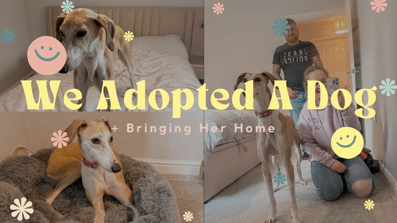 Bringing Our Rescue Dog Home // Dog Adoption Day 2024