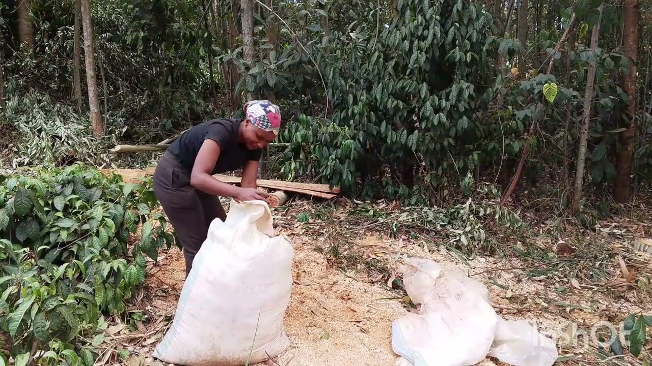 TYPICAL AFRICAN LIFESTYLE 