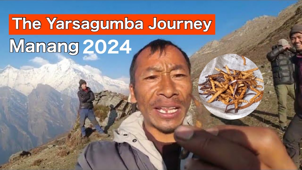 The Yarsagumba Journey 2024 😎