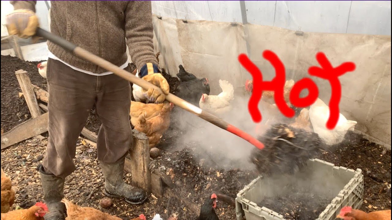 High Tunnel - Update and low tech compost heating setup