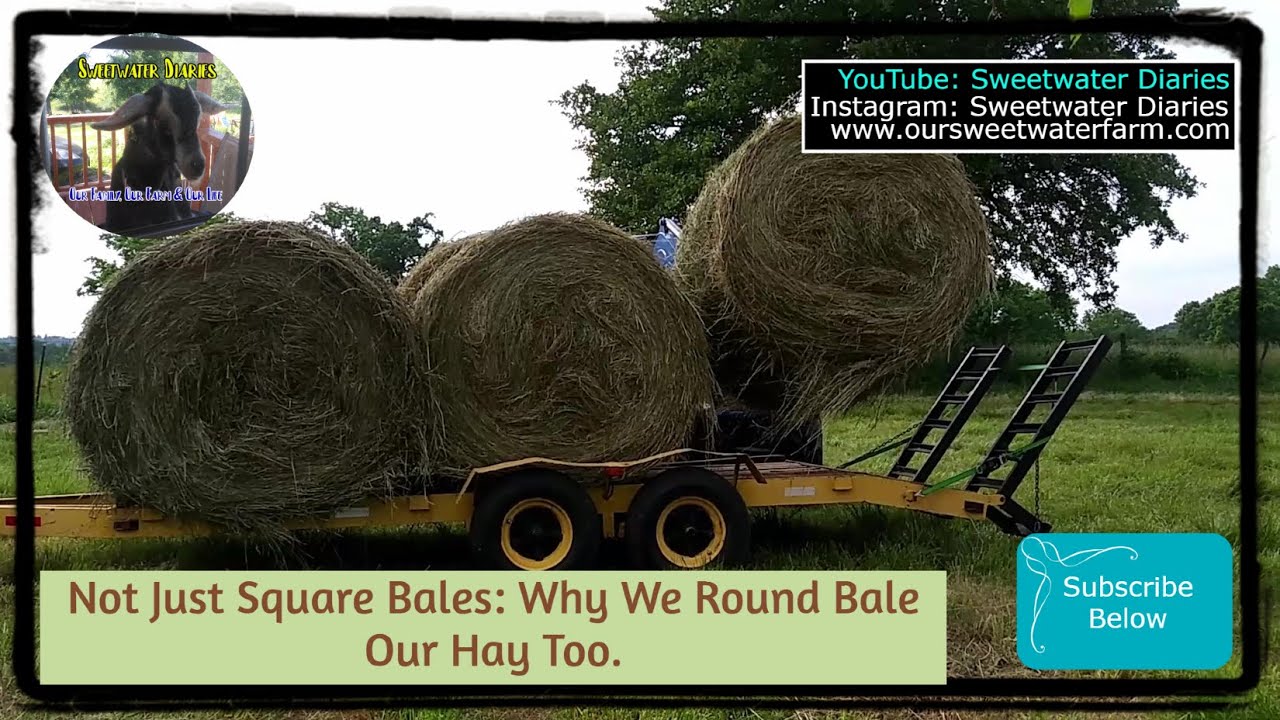 Not Just Square Bales: Why We Round Bale Our Hay Too.