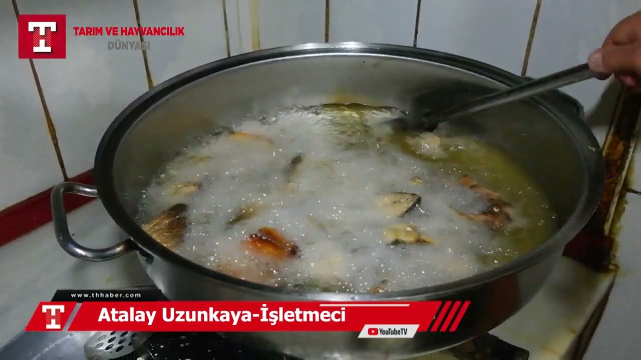 Gölden çıkan müthiş lezzet; Sarı balık