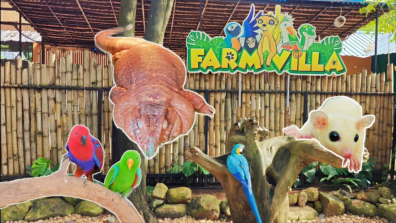 Farmvilla / Marine World / Beach / 1 Day Trip / Animals & Birds / Justjijo