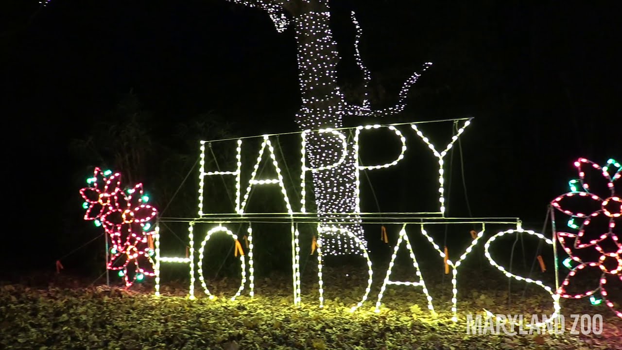 Weis Markets presents Zoo Lights 2020