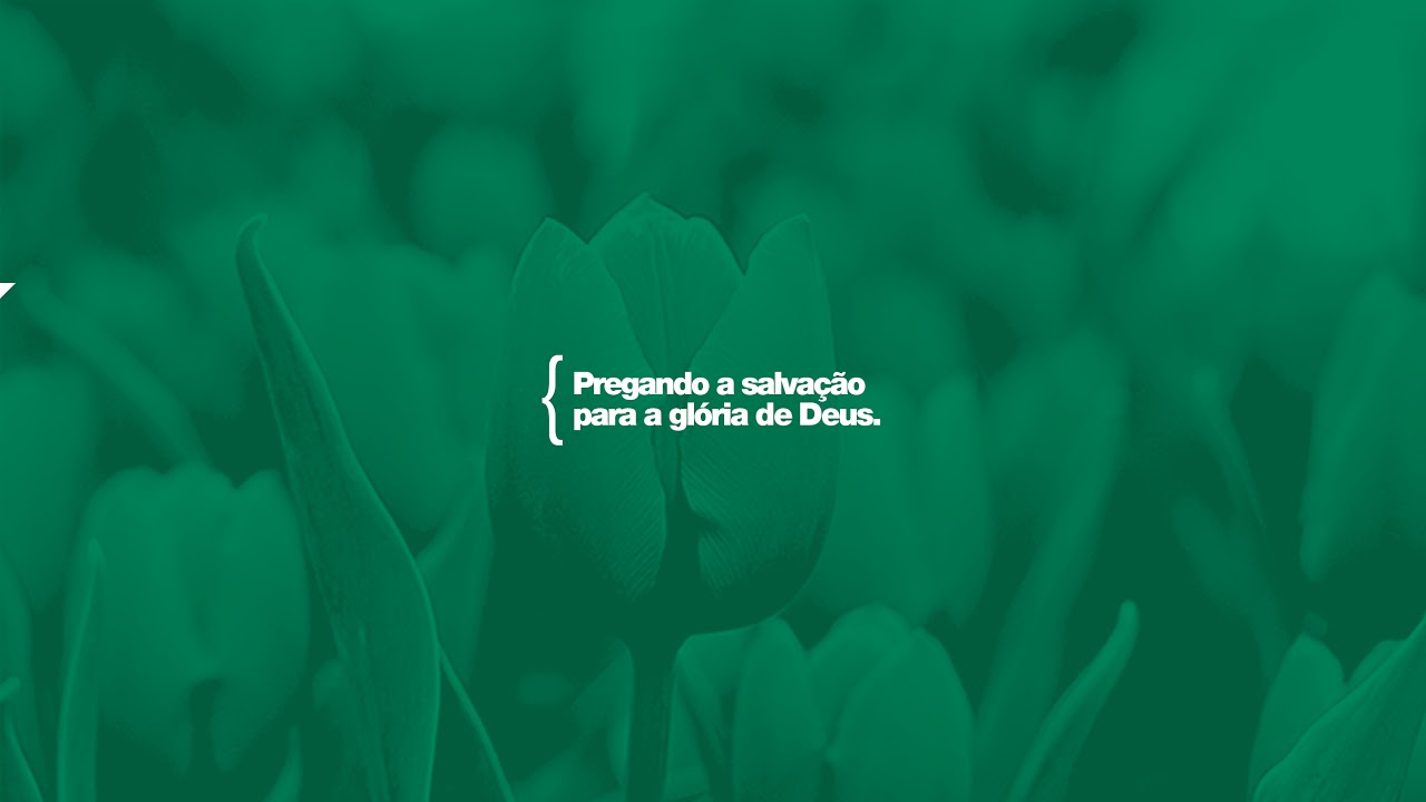EBD - 15/02/2026