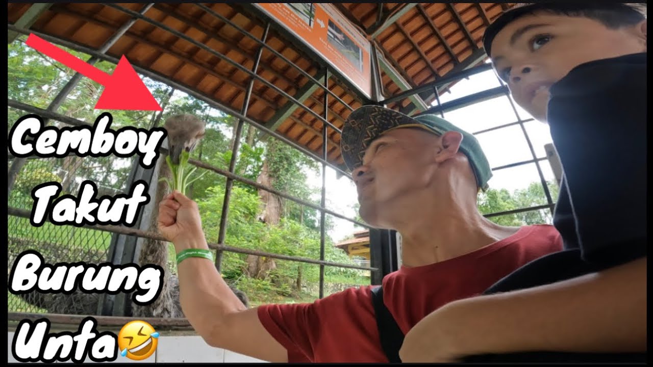 Seronok juga lepak Taman Burung ni, anak2 pon happy  😃 #part2
