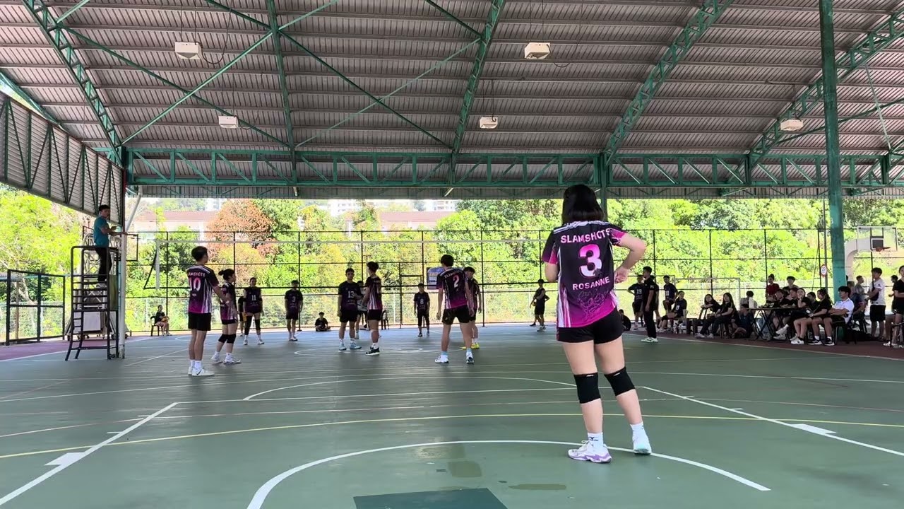 Wisdom Plus VS Beyond Set 2b