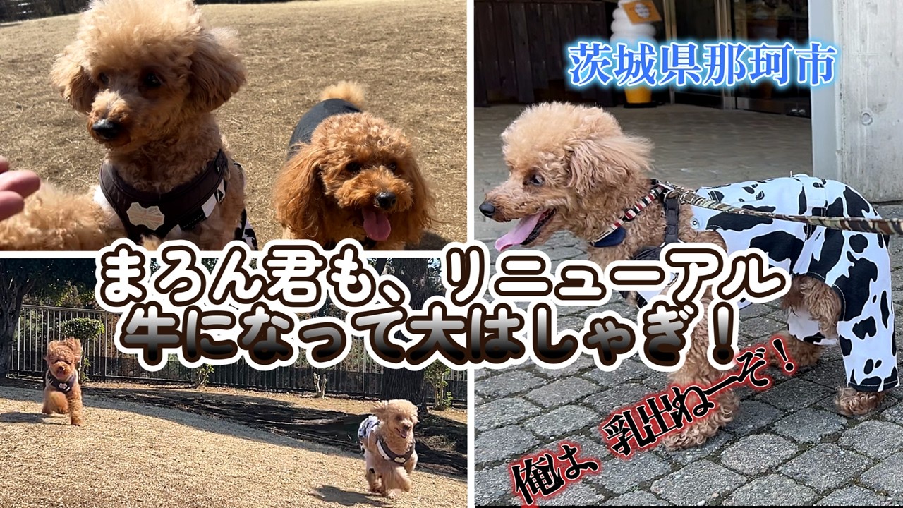 【THE BOTANICAL RESORT 林音】 わんちゃんと泊まれる日本初体験型宿泊施設植物園