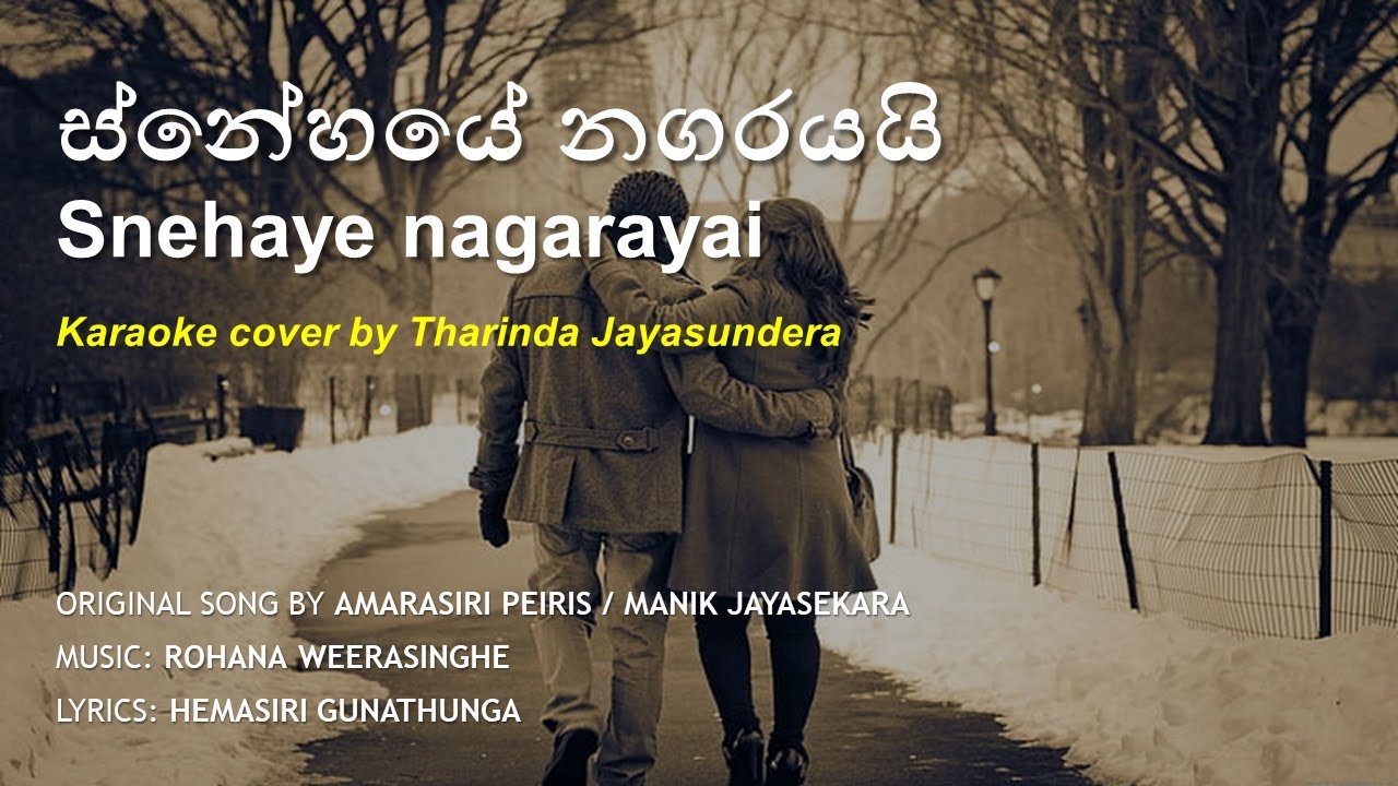 Snehaye nagarayai (Karaoke cover by TJ)