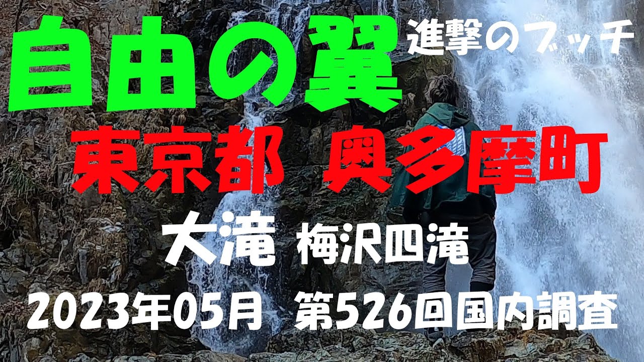 【進撃のブッチ】【大滝 梅沢四滝】【東京都 奥多摩町】【第527回国内調査202305】【1080ｐ60fps】【Japan waterfall]】
