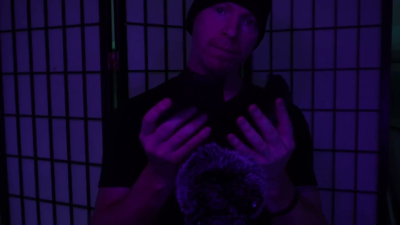ASMR mic brushing with whispers. in out of focus