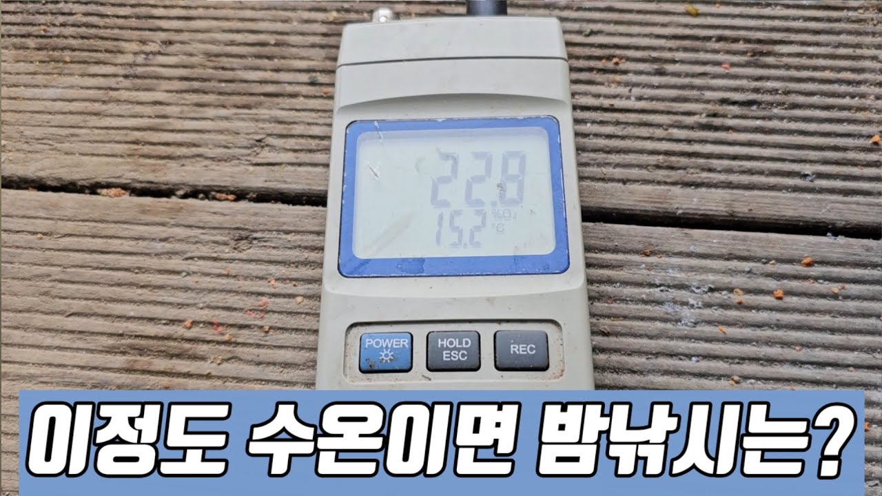수온이 많이 올라 밤낚시 기대이상/백기사낚시대 실사용 #당골낚시터 #엔터피싱 #알통편대