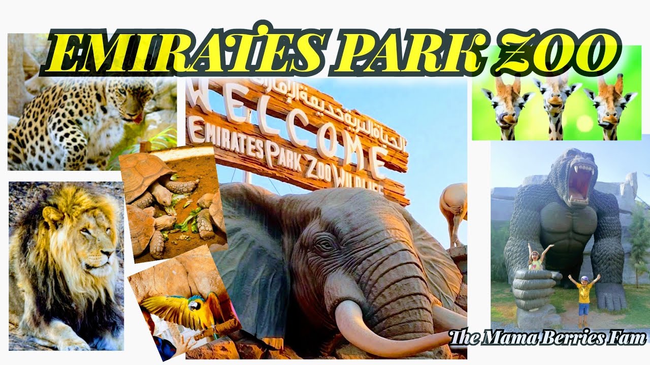 Emirates park zoo Abu Dhabi UAE |A Visit to Emirates Park Zoo |Animal Feeding |Best Zoo in UAE