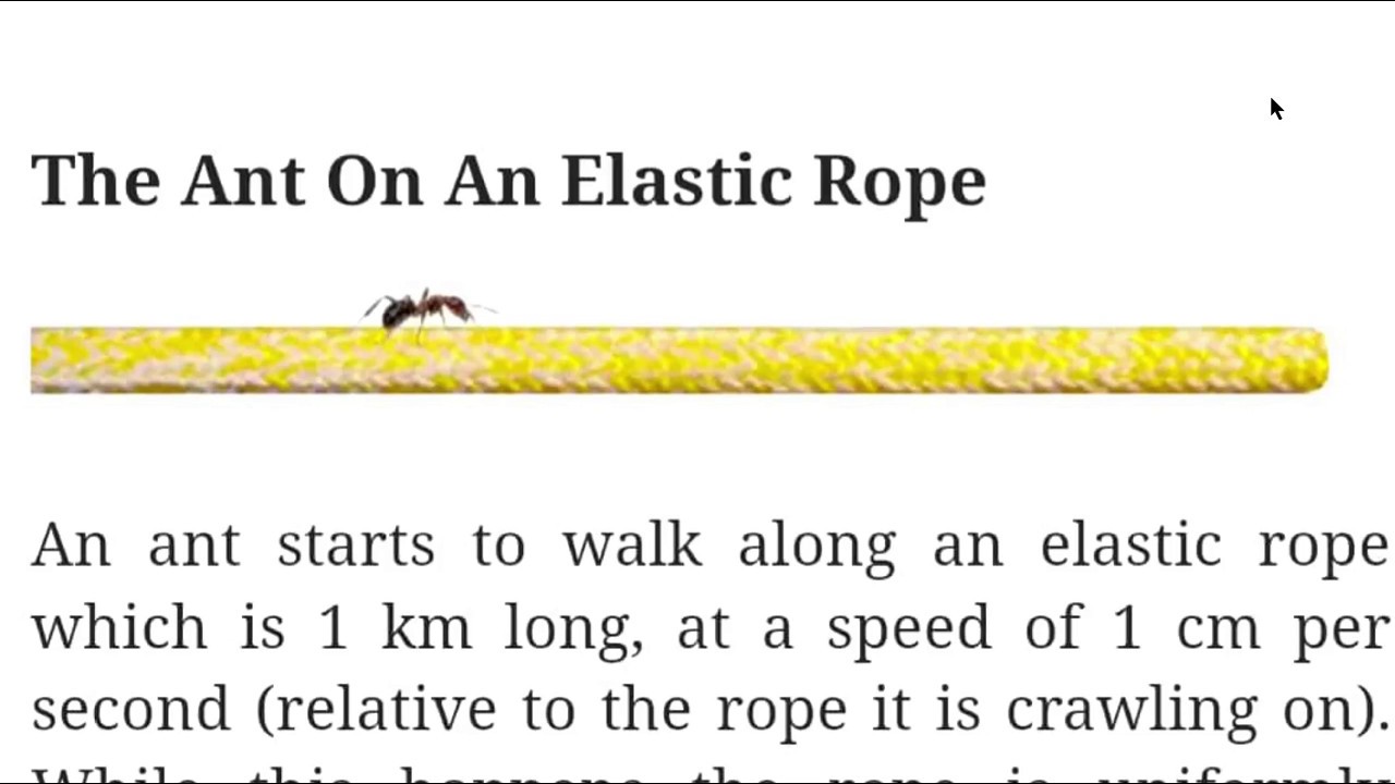 Amazing puzzling physics problem- Ant on a  Elastic rope