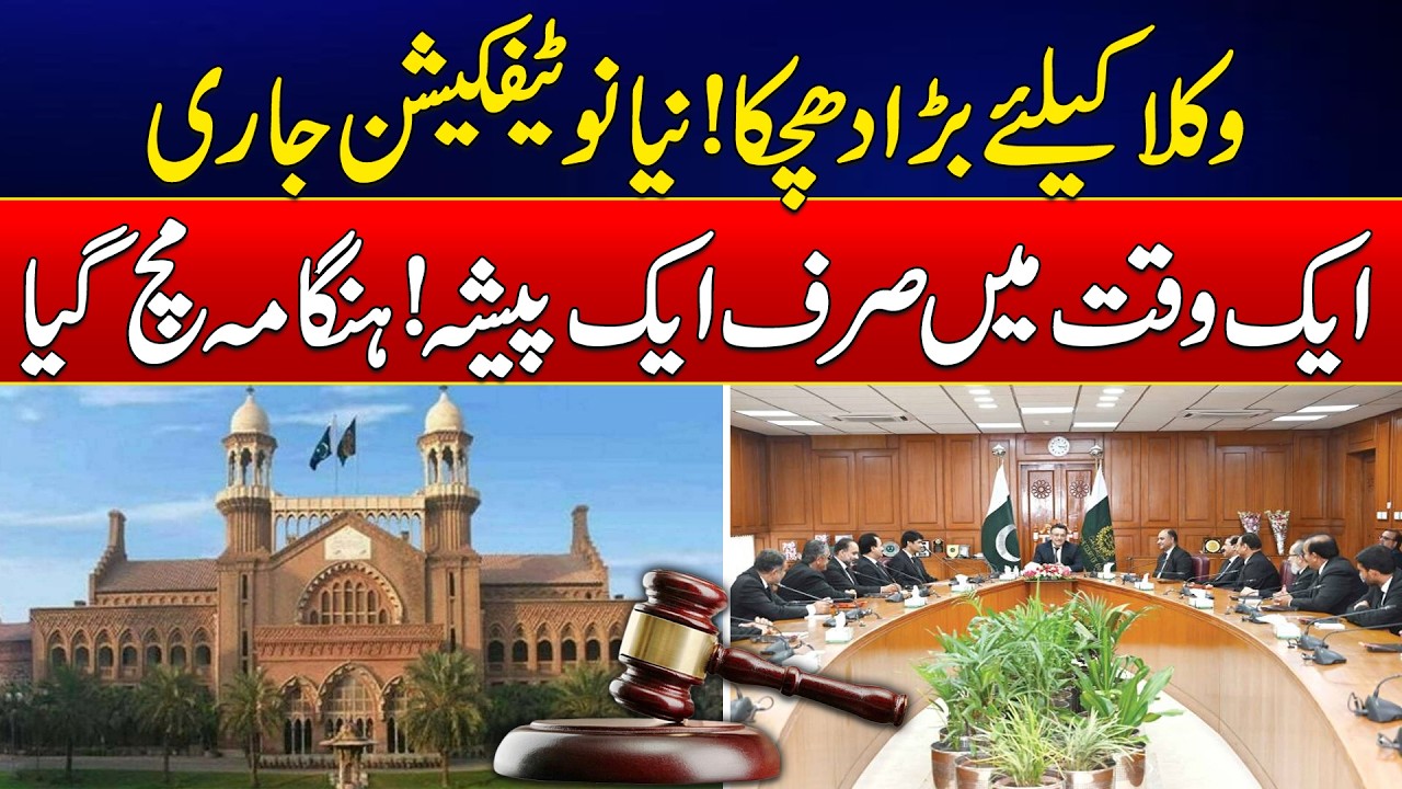 Punjab Bar Council Issues New Rule for Lawyers: One Profession Policy Explained | News Update | Rohi