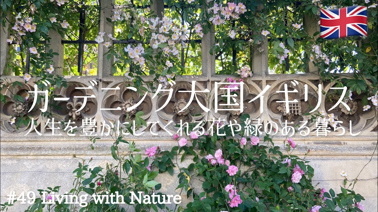 #49 バラがベストシーズンを迎えた初夏の美しい風景 | イギリスの義理の両親の庭紹介 | 花や緑のある暮らし