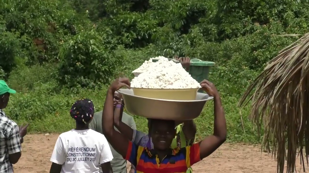 Composante 6 du Projet de Gouvernance des Ressources Naturelles (PGRN) – République Centrafricaine