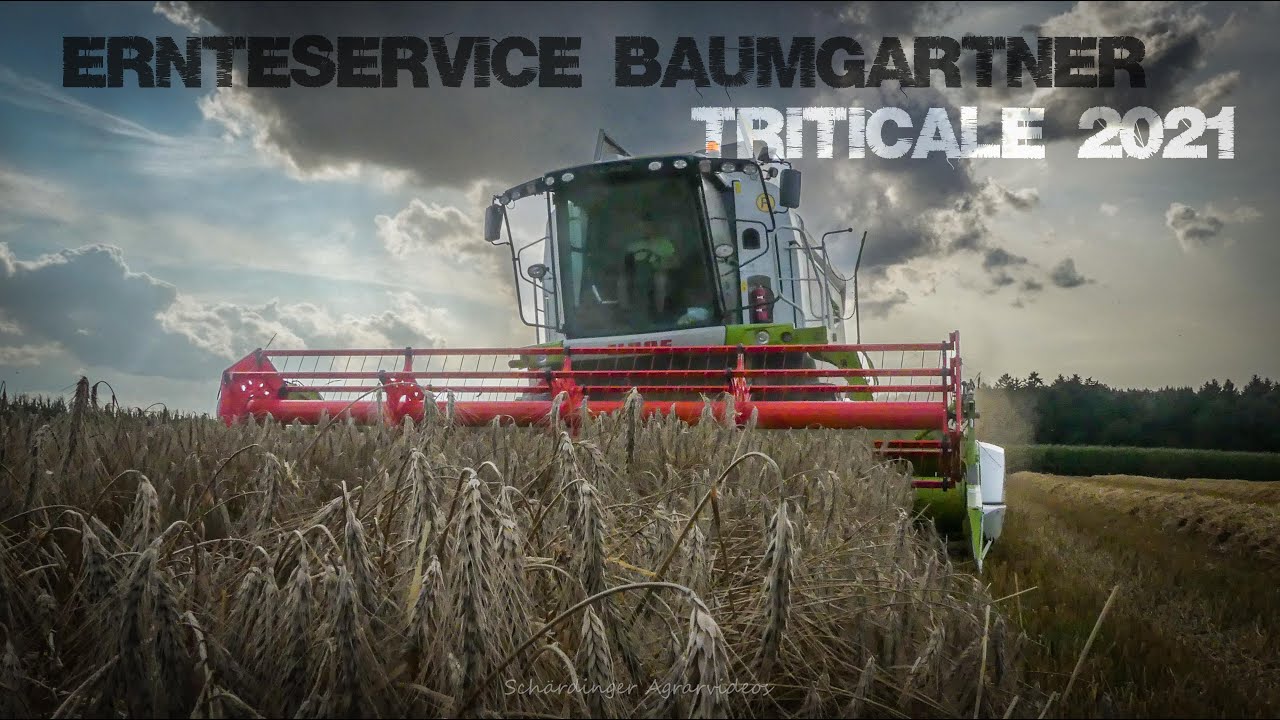Triticale Ernte 2021 | Claas Tucano 560 Montana | Claas Vario 620 | Ernteservice Baumgartner