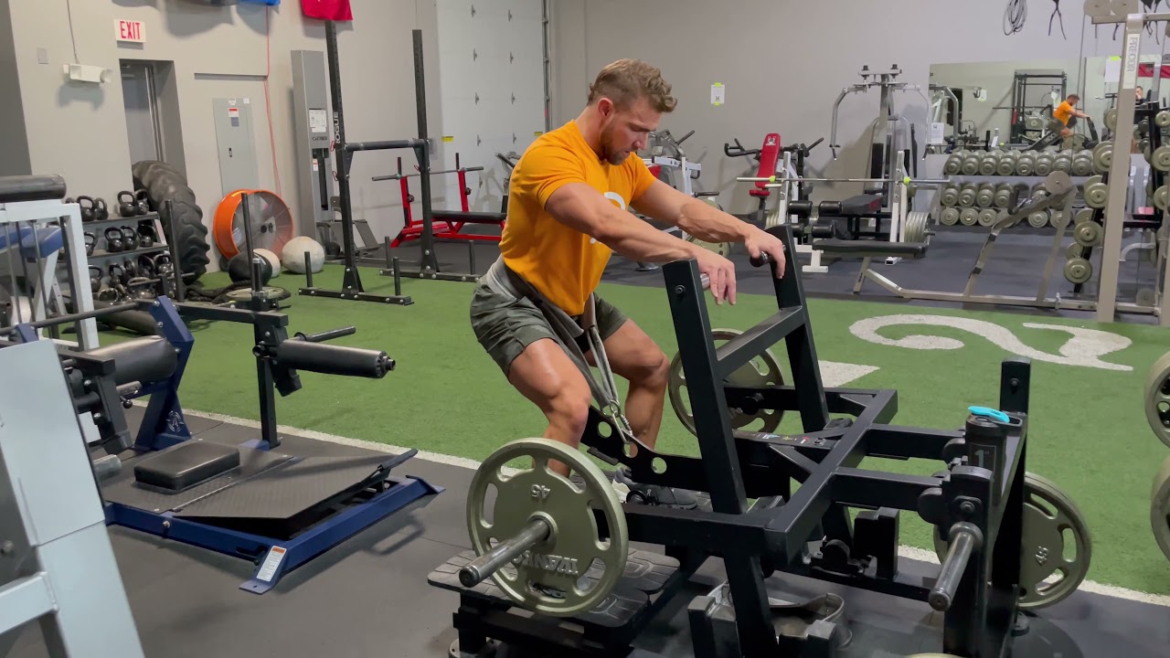 Belt Squat Glute and Ham