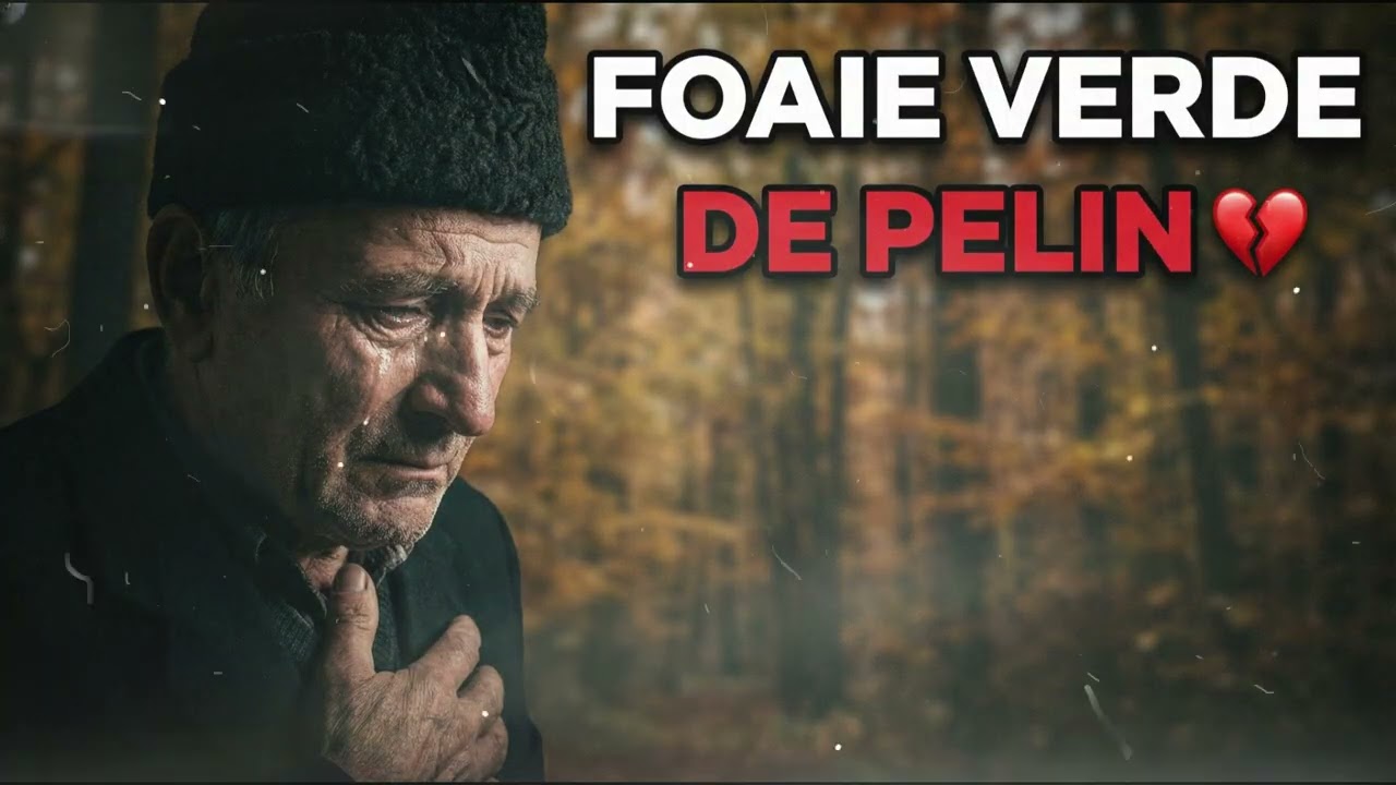 Doină de Dor - Foaie Verde de Pelin 💔 | Cea Mai Tristă Doină Românească