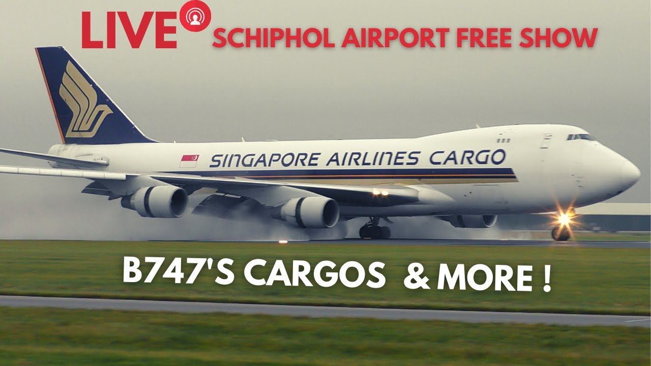 Planespotting Live From #Schiphol Airport