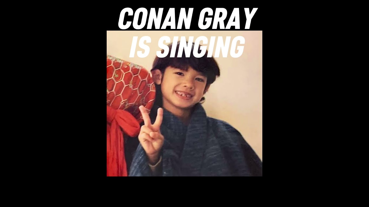 Build your ✨ dream ✨ Conan gray concert