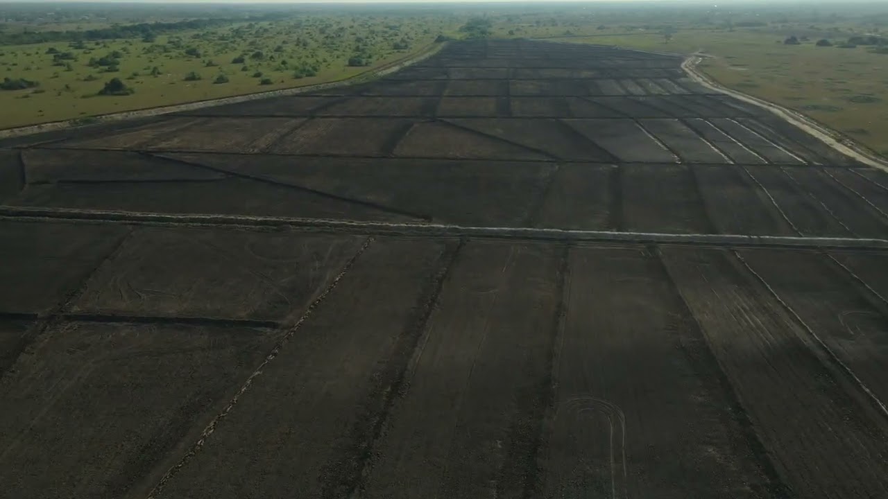 Farm Development Update: Phase 3