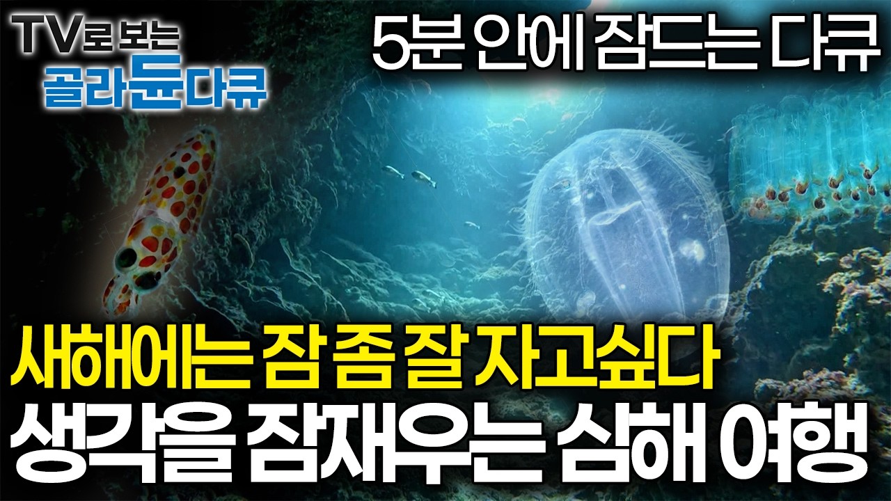 왔다 내 수면제💊 아직도 불면증 못 고친 편집자 2026년 목표 잘 자기, 불 끄시고 심해로 갑니다｜다큐프라임｜#골라듄다큐
