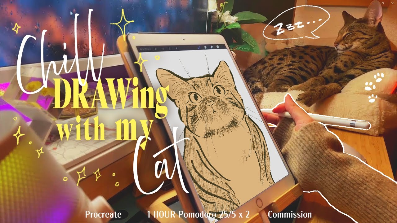1-HOUR 🌧️ Drawing Brown Tabby with my Cat 🐾 | Lo-Fi・Rain | Pomodoro 25/5