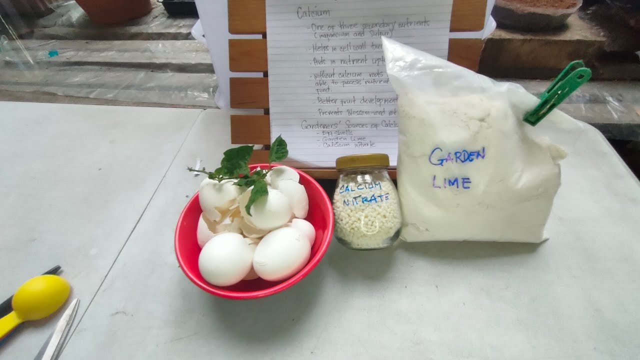 Calcium Sources para sa Halaman (Eggshell, Garden lime, Calcium nitrate)