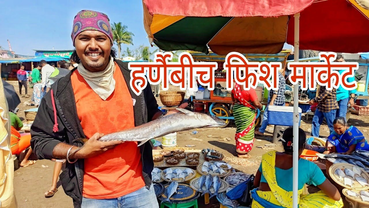 बीच वर खेळलो क्रिकेट ।।Harnai Fish market || Yk vlogger