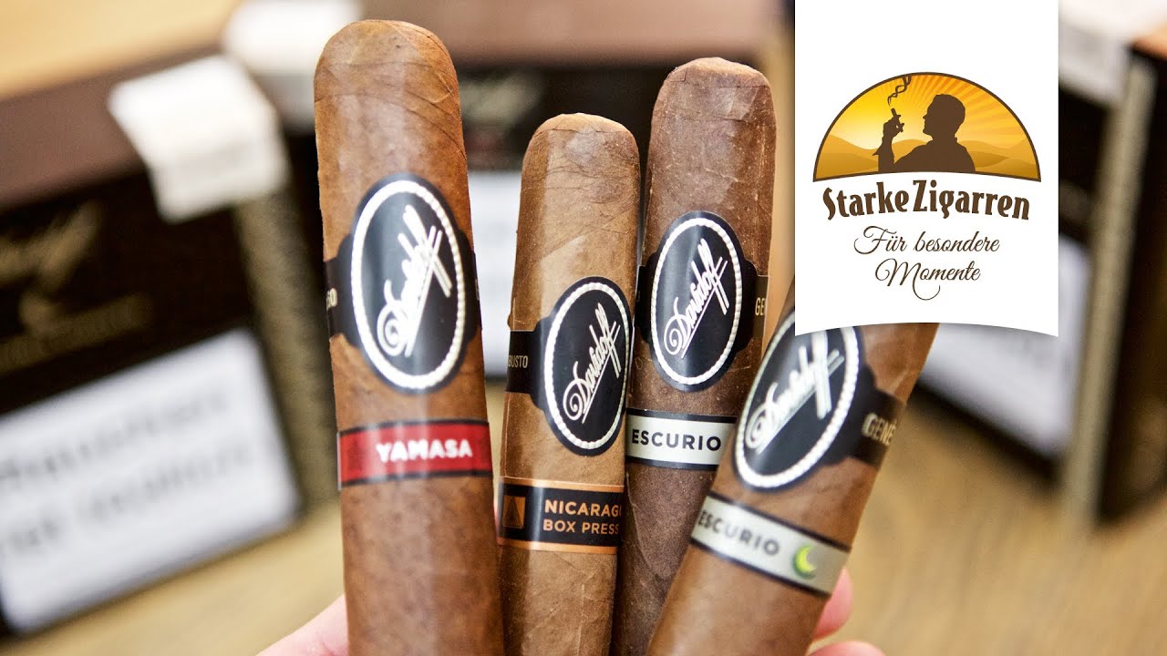 Was sind die besten Zigarren der Davidoff Discovery Serie? | StarkeZigarren