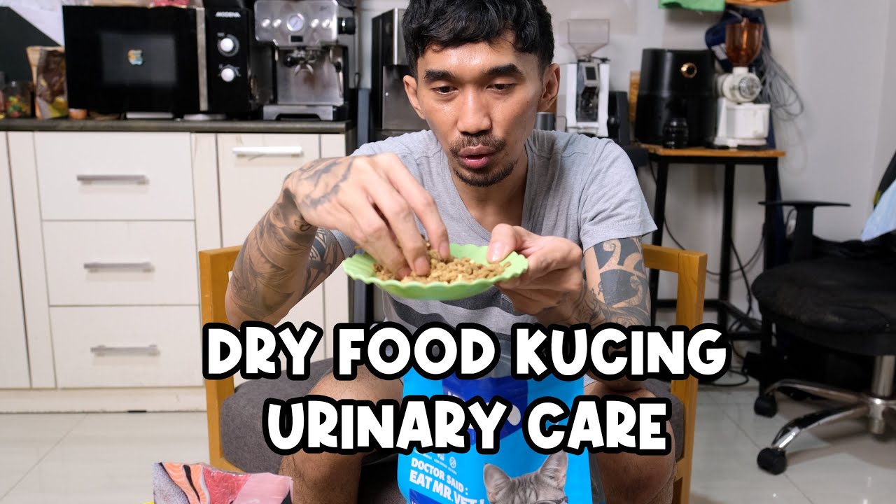 Kondisi Kucing Yang Cocok Pakai Dry Food URINARY CARE