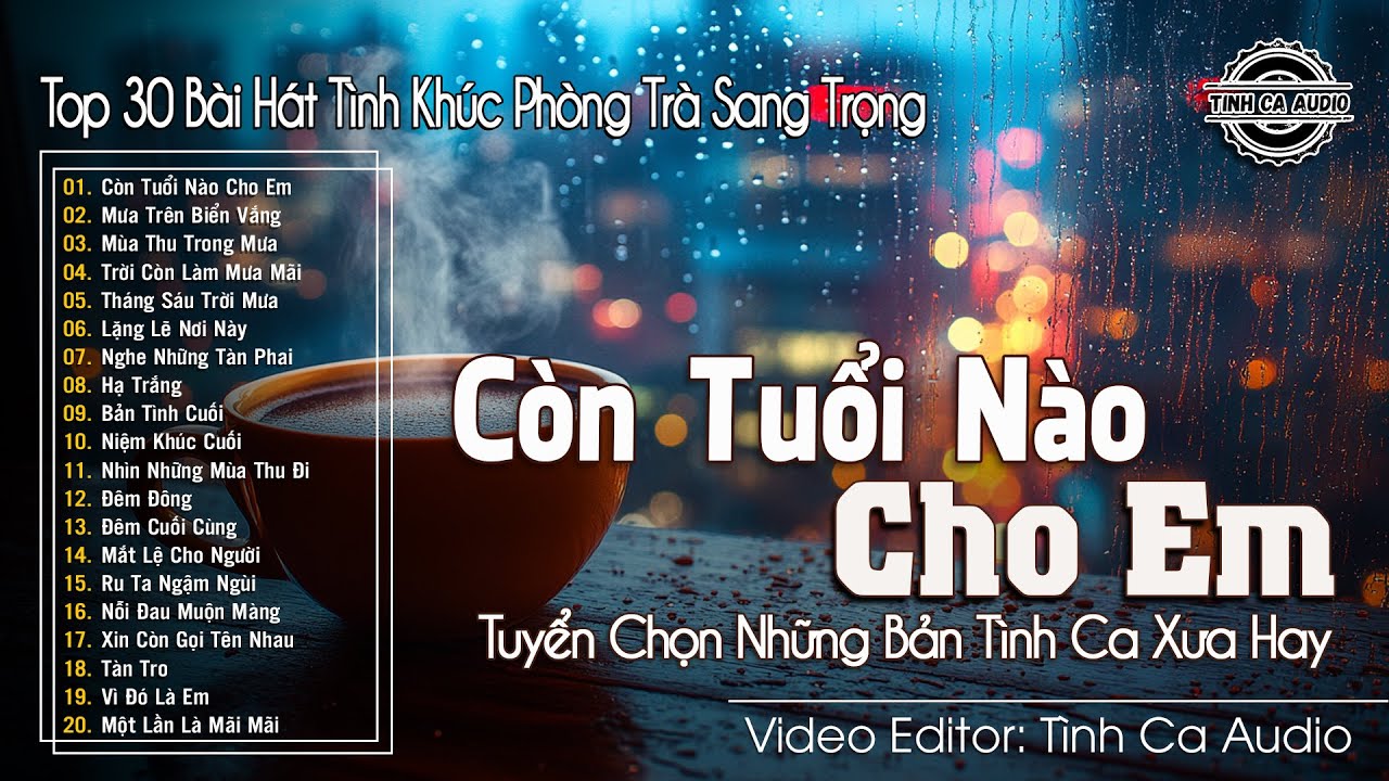 Còn Tuổi Nào Cho Em - Top 30 Bài Hát Tình Khúc Phòng Trà Sang Trọng | Tuyển Chọn Bản Tình Ca Xưa Hay