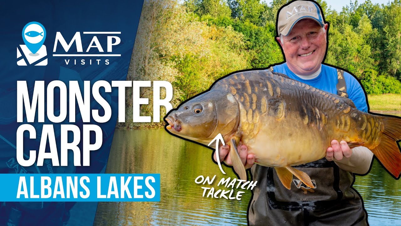Method Feeder Fishing For BIG CARP! | MAP Visits: Albans Lakes