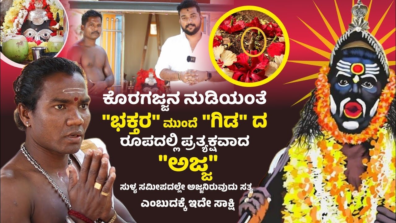 ಸುಳ್ಯ ಸಮೀಪದಲ್ಲಿ "ಗಿಡ"ದ ರೂಪದಲ್ಲಿ ಭಕ್ತರಿಗೆ ಗೋಚರಿಸಿದ "ಕೊರಗಜ್ಜ" ದೈವ.! ಕಲಿಯುಗದಲ್ಲಿ ನುಡಿದಂತೆ ನಡೆವ ಅಜ್ಜ‌ 😍♥