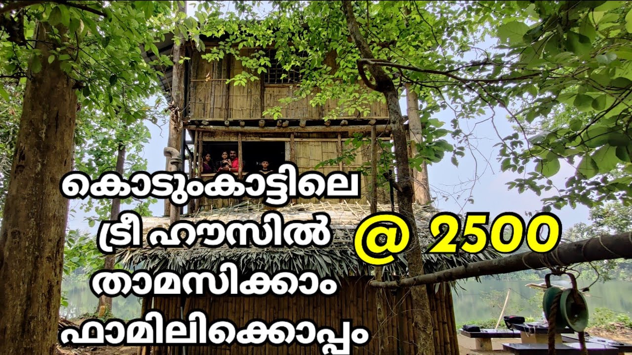 Deep Forest Stay For Family | Thattekkad Bird Sanctuary | Tree House Stay at Forest | Thattekkad