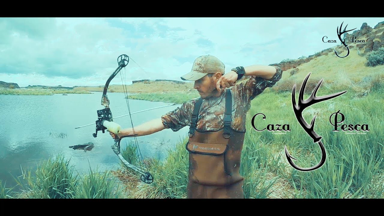 Pesca De Carpas Con Arco En CaZa Y Pesca