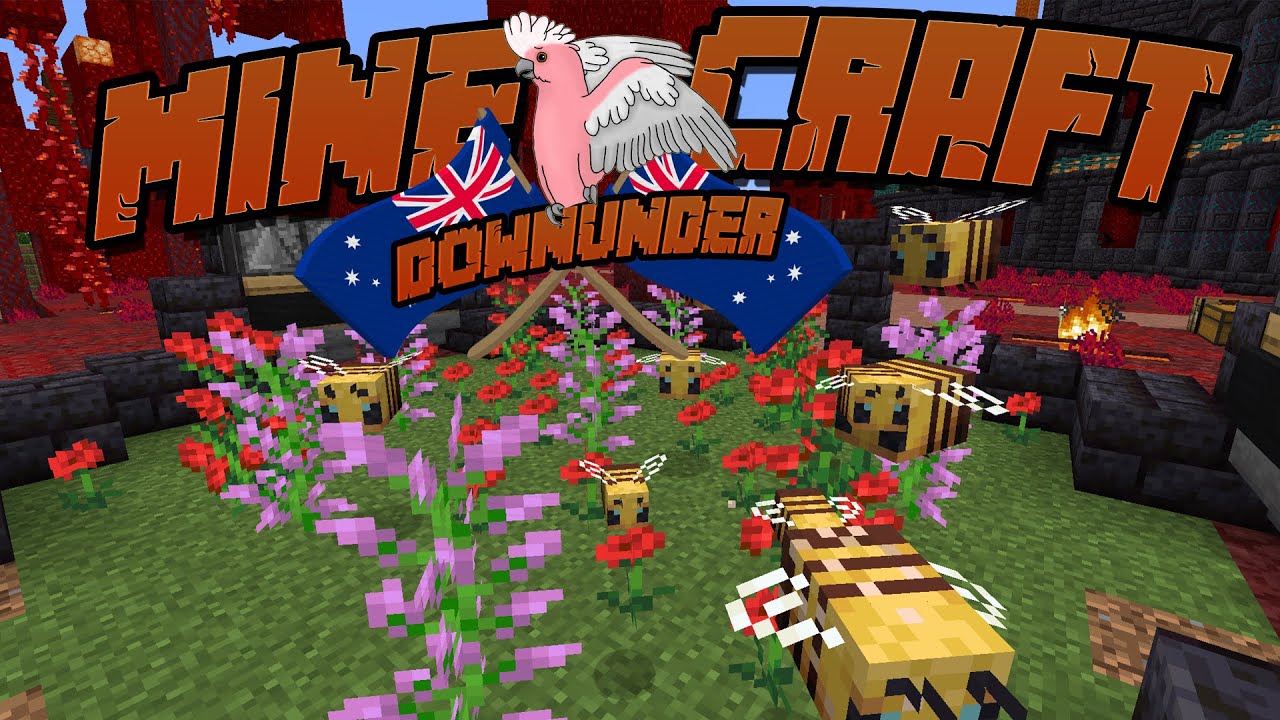 Bee Aggressive, Bee-Eee Aggressive - Minecraft Down Under - Episode 118