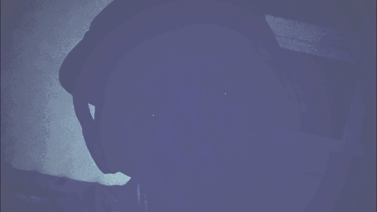 Noah Koubaa - dive