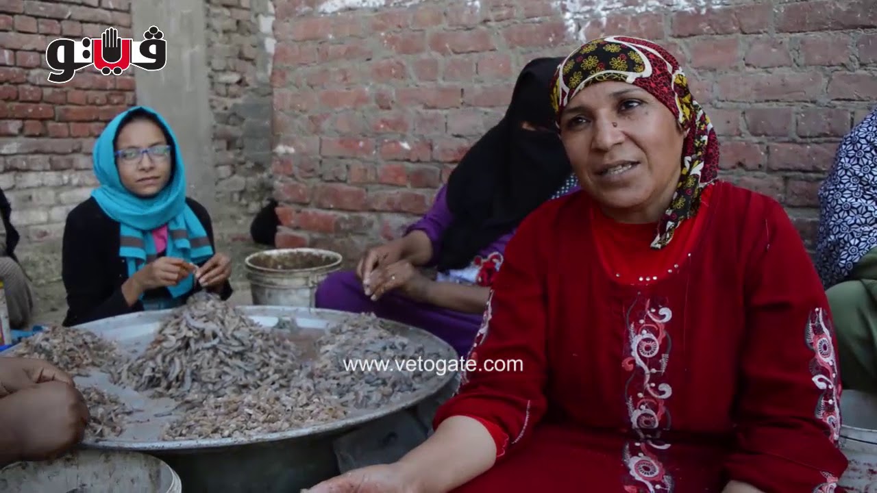 بوابة فيتو | «سيدات الجمبري».. حكاية «نساء شكشوك» مع «دهب البحر» (معايشة)