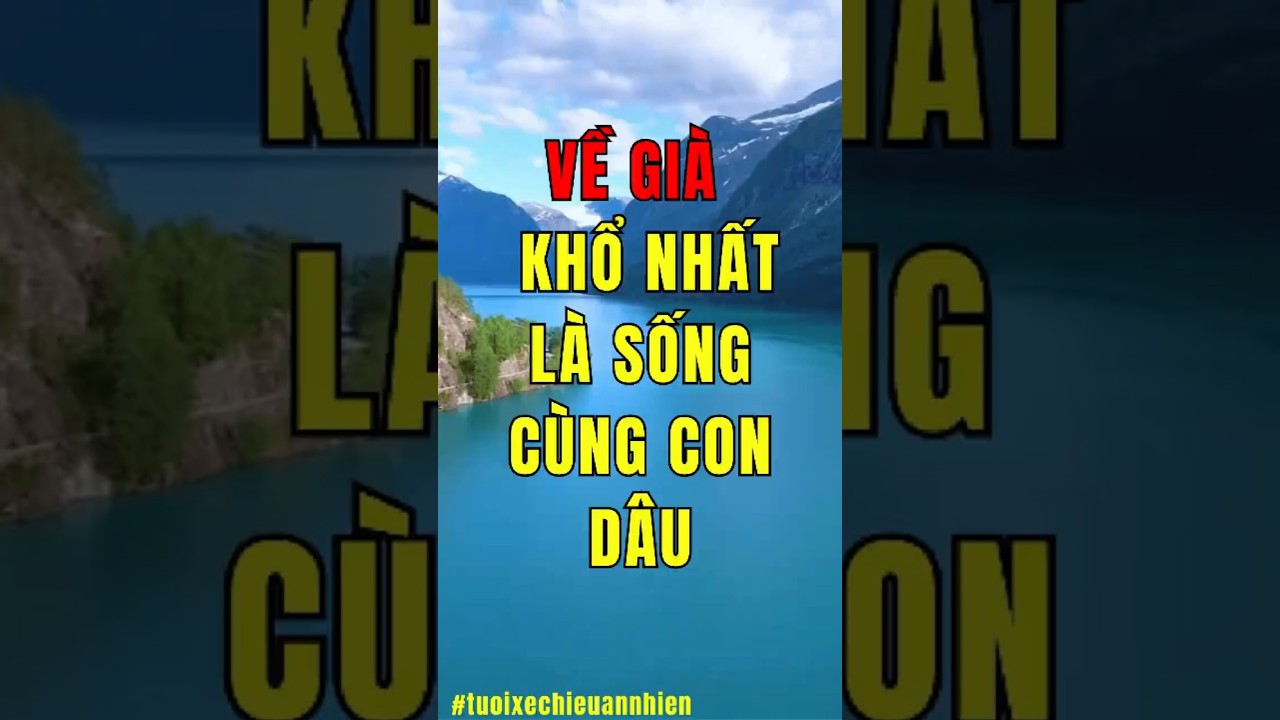 Về gi&agrave; khổ nhất l&agrave; sống chung với con d&acirc;u.  #trietlysong  #baihoccuocsong  #tamsutuoigia