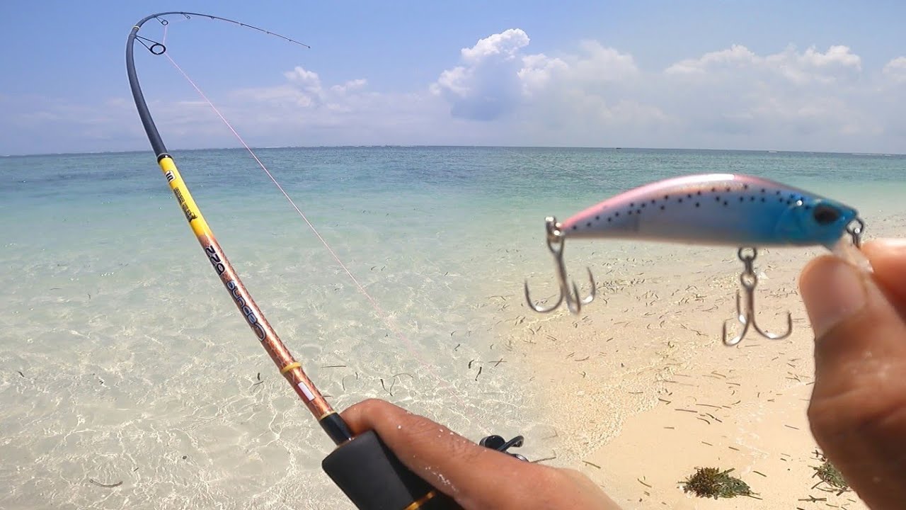 tackle baru Capung 1-3 lb x okuma c-ceymar a dibuat Babak belur di hajar beby predator